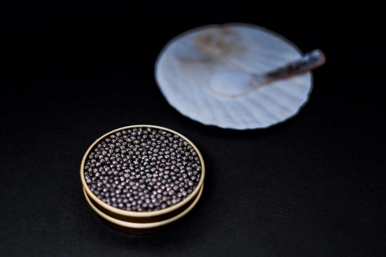 Open tin of black caviar with a shell plate and mother of pearl spoon on a dark background